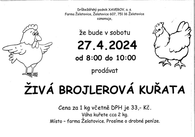 Prodej živá brojlerová kuřata 27.4.2024.jpg
